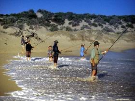 Flippers Beachouse - Tourism Caloundra