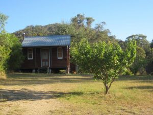 Peach Tree Cabin - Tourism Caloundra