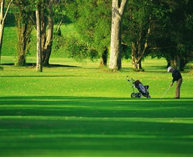 Foster Golf Club - Tourism Caloundra