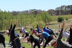 Yoga in the Vines - Tourism Caloundra