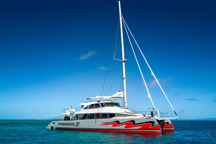 Passions of Paradise Great Barrier Reef Snorkel and Dive Cruise from Cairns by Luxury Catamaran - Tourism Caloundra